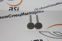 Клапан выпускной ZHAZG1