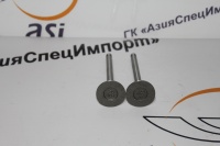 Клапан выпускной ZHAZG1